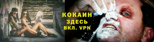 ПСИЛОЦИБИНОВЫЕ ГРИБЫ Инта