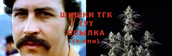 кокаин Каменка