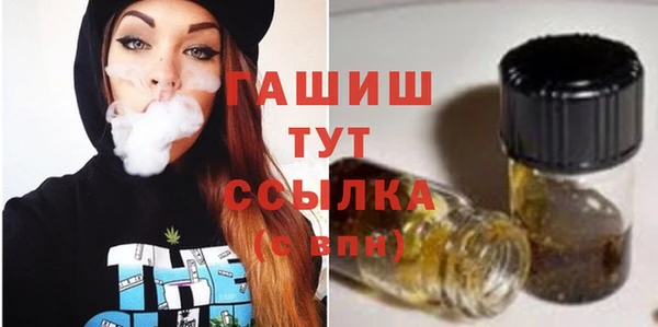 ПСИЛОЦИБИНОВЫЕ ГРИБЫ Инта