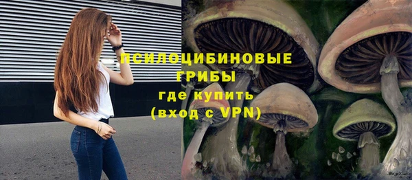 кокаин Каменка