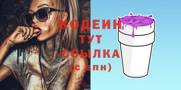 ПСИЛОЦИБИНОВЫЕ ГРИБЫ Инта
