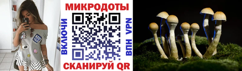 Галлюциногенные грибы Magic Shrooms  Купить  Вуктыл 